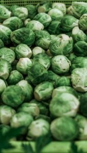 Brussel sprouts Winter Vegetables