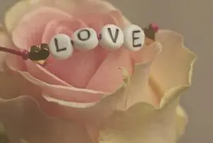 Pink Rose with Charm Bracelet that read LOVE