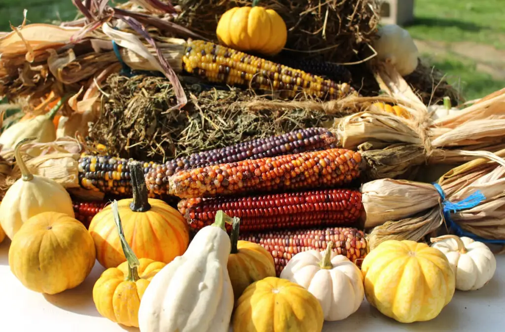 Fall Produce