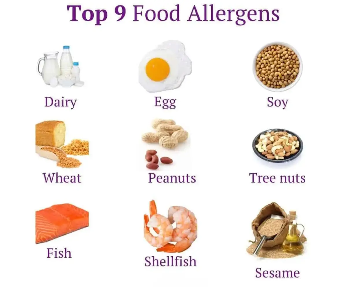 Food Allergy Chart