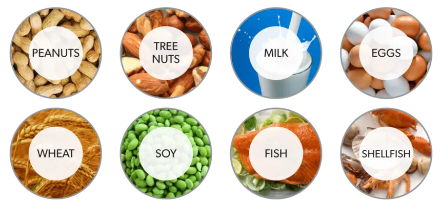 Top Food Allergens