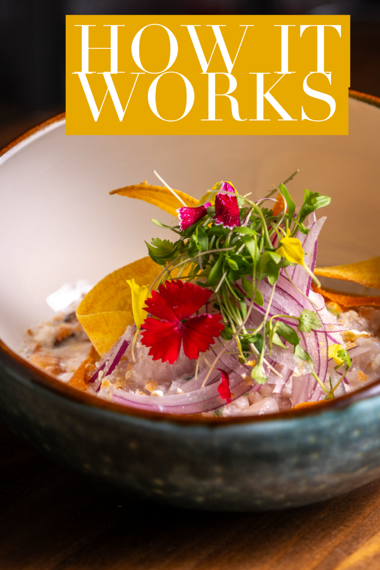 how it works hiring a private chef beautiful bowl of ceviche